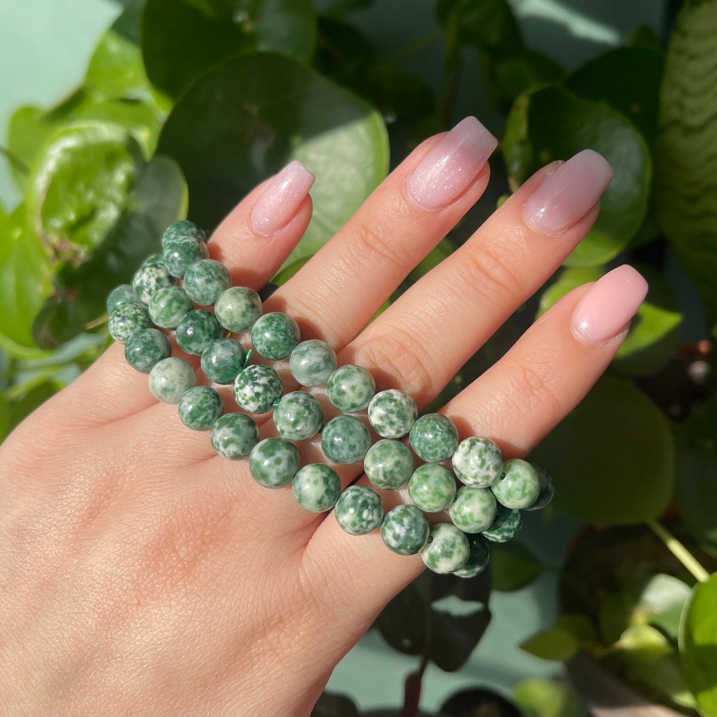 Tree Agate Bracelet